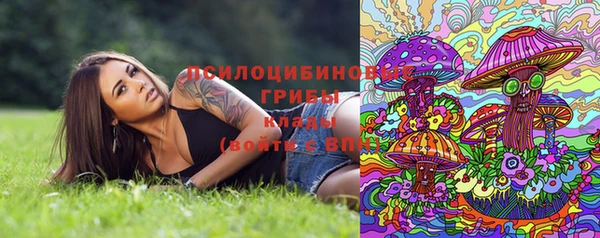 первитин Арсеньев