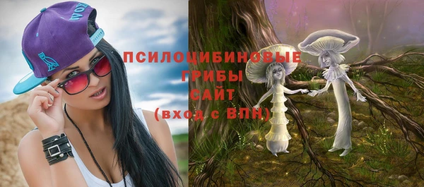 ГАЛЛЮЦИНОГЕННЫЕ ГРИБЫ Аркадак