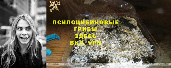 ГАЛЛЮЦИНОГЕННЫЕ ГРИБЫ Аркадак