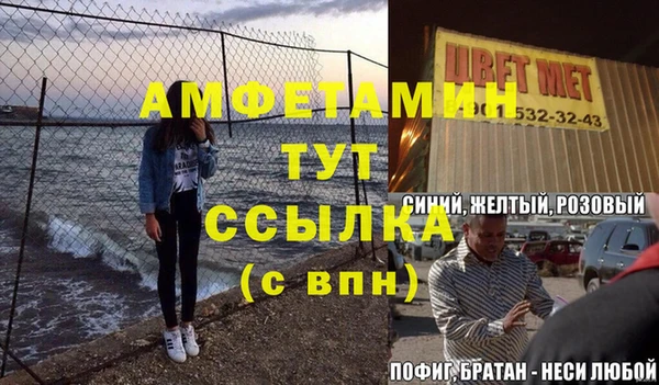 ГАЛЛЮЦИНОГЕННЫЕ ГРИБЫ Аркадак