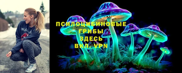ГАЛЛЮЦИНОГЕННЫЕ ГРИБЫ Аркадак