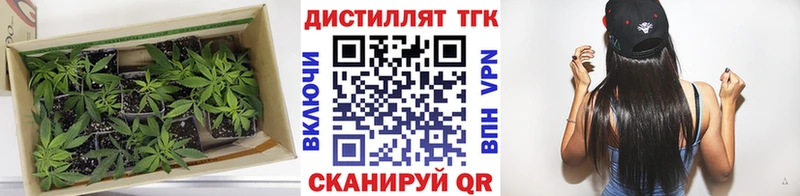 ТГК концентрат  хочу   KRAKEN ссылки  Щёкино 